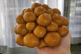 【10パック入】爆笑なめこ!?炒めるなめこ!?飛騨ジャンボなめこ約180g×10パック入り