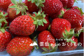 春はまほろば🍓やうやう朱くなりゆく勾玉 おいCベリー200g×8パック【小粒1.6㎏】