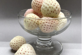 【天使のいちご】冷凍　希少白いちご500ｇ！！