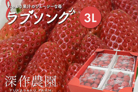 たっぷり果汁のジューシーないちご！いちご（苺・イチゴ） オリジナルブランド苺　ラブソング【3Lサイズ×4パック】
