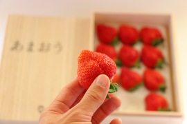 【冬ギフト】大粒！特選あまおう12玉（熨斗可能）