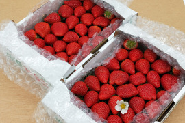 【春の🍓祭り】２つの味が楽しめる　〘❤さがほのか＆いちごさん❤〙 ♡７００ｇ×２♡