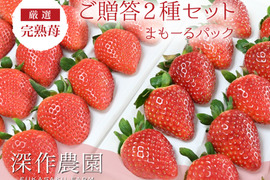 茨城いちごグランプリ3年連続受賞！　オリジナルブランドいちご　いちご（イチゴ・苺）ご贈答2種セット【まもーるパック】