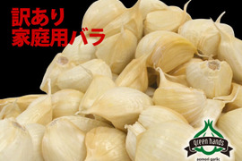 青森県産 訳あり にんにく バラ 500g  ホワイト六片 家庭用バラ にんにく農園が育てた「こだわりの品質」