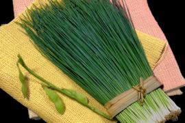 深緑のエメラルドをご家庭で！新感覚！極細2㍉の安岡ねぎ(ふぐねぎ･ふくねぎ)「楊貴妃－紙箱入り娘」(200ｇ)