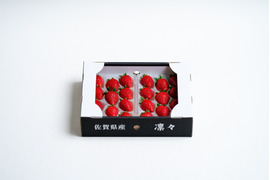 佐賀県新品種🍓いちごさん（250g×2）