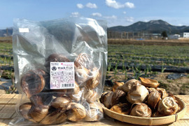 【数量限定セール!!】奇跡のブラックフルーツ500g【農薬不使用】青森県産黒にんにく