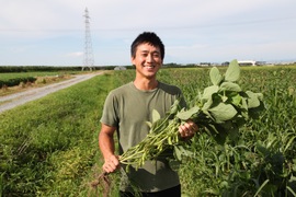令和7年８月の出荷糖度１７度「神の枝豆」だだちゃ豆1ｋｇ