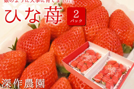 オリジナルブランド苺　ひな苺【3Lサイズ×2パック】娘のように大切に育てました！いちご（苺・イチゴ）