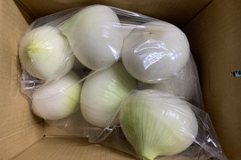 ‼️白剥き玉ねぎ2.5kgお買い得‼️淡路島玉ねぎ白剥き‼️主婦の味方❗️生ゴミ無し❗️即使える❗️特別栽培農産物　シャーロットオニオン