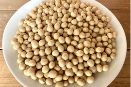 【自然栽培】大豆（もち大豆）900g　農薬不使用・無肥料栽培　自然乾燥　令和6年【岐阜県産】クリックポスト発送
