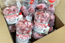 冷凍苺1kg（500g×2袋）と削り苺紅ほっぺ（3カップ）本州の方限定【お中元】