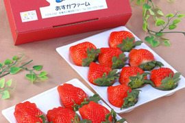 【冬ギフト】【お彼岸、内祝い、家族団らんにも】【ジューシー】400g2パック とにかく甘いいちごをお届けしたいと思っていたら蜜入りのものが出来ました
