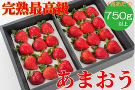 【お歳暮やギフトに】特選あまおう 800g