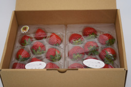 【Premium Strawberry Selection】
特選よつぼしと全国コンテスト受賞はるひ　290g×2p
