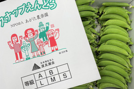 祝！農林水産大臣表彰受賞！【愚直な仲間の1箱】スナップエンドウ　新鮮シャキシャキあま～い　1kg　高いですか？リピーター続出！