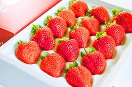 【冬ギフト】朝採り出荷！新鮮完熟あまおう！　大玉9～15玉入り！[熨斗対応可]