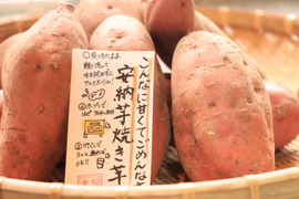  《予約販売》一番甘い時期を逃さないで！リピーター続出【厳選】熟成安納芋（3㎏）蜜いっぱいの焼き芋がご家庭で🍯🍠ひとつひとつ紙に包んでお届けでプレゼントにも💕熨斗承ります。ホワイトデーにも！