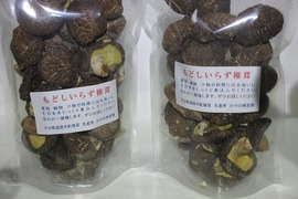 干ししいたけ小粒（戻しいらず　大分産　１００ｇ入り２袋　 ビタミンDが豊富）
