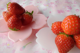 【程よい甘さと酸味】香川県産地限定さぬきひめ　大粒イチゴパック詰め(約500g)