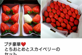 ２セット４箱
プチ豪華なとちおとめとスカイベリーのセット