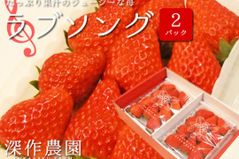  オリジナルブランド苺　ラブソング【3Lサイズ×2パック】たっぷり果汁のジューシーないちご！いちご（苺・イチゴ）