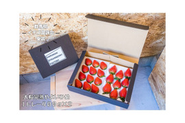 《ハルノヒのやよいひめ》デラックス（ダブル）贈り物にもピッタリ♪大粒で甘くて食べごたえ抜群！大好評につき早期ご注文限定価格#早い者勝ち#配達指定日不可、ですが、ご相談ください