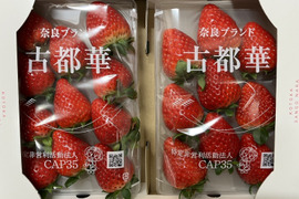 奈良県ブランド高級いちご(古都華)
280g✖️2パック