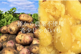 春2025年5