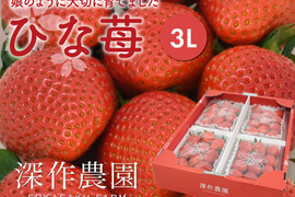 娘のように大切に育てました！いちご（苺・イチゴ）オリジナルブランド苺　ひな苺【3Lサイズ×4パック】