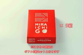 【冬ギフト】朝採り出荷！新鮮完熟あまおう！　大玉9～15玉入り！5箱セット[熨斗対応可]