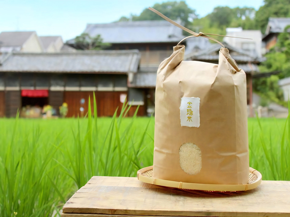 【金鵄米/５分づき/5kg】冷めても美味しいヒノヒカリ2024年産きんしまい 熨斗対応可