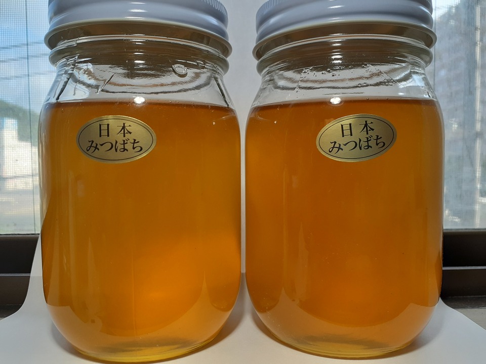 希少な日本蜜蜂、日本ミツバチの生はちみつ　５００g X２本