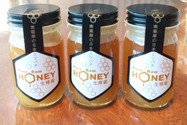 自然豊かな南薩摩のニホンミツバチ 生蜂蜜 90g　1本