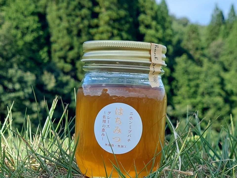 【あなたに伝えたい】自然入居🐝天然ニホンミツバチの「🍯はちみつ」（360ｇ）