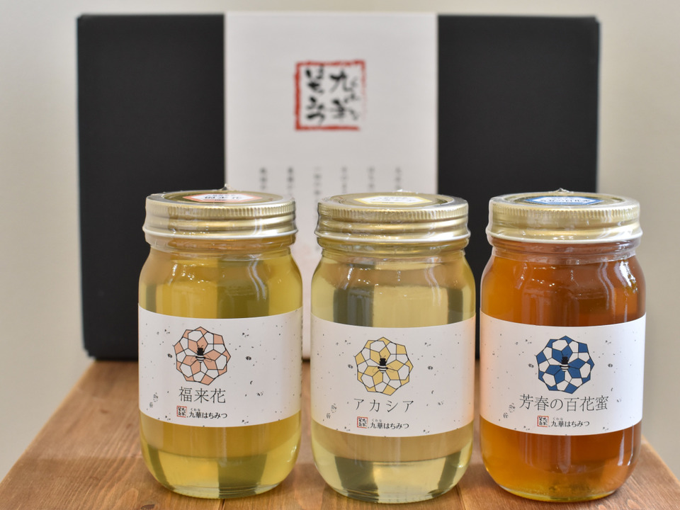 【300ｇ×3本】養蜂家直送！完全自家採集の国産天然はちみつお試しセット【九華はちみつ】【食べ比べ】