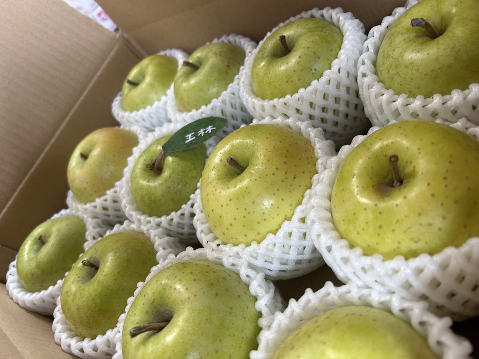 🍏芳醇な香り王林🍏令和6年産  家庭用　3キロ８～１２玉 青森りんご  商品ID118229