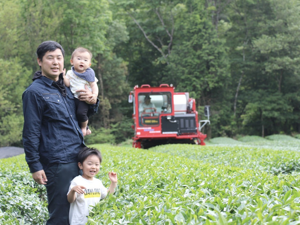 開拓から一度も農薬を使っていない茶園のオーガニックかぶせ茶(商品名高級煎茶)「深山の聖」100ｇ