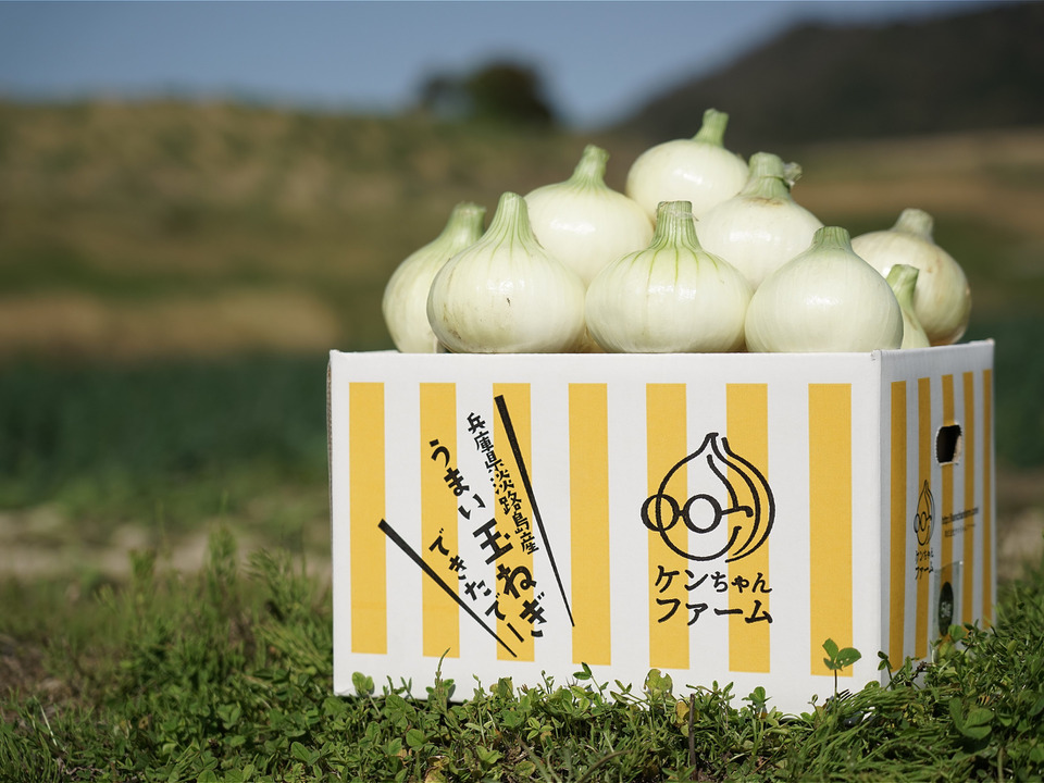 【予約商品】この時期にしか食べられない♪淡路島新玉ねぎ「とろ甘・極早生種」５kg