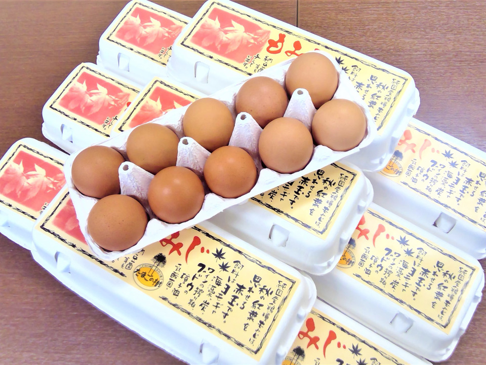 １日１セット限定!!国産鶏種もみじの新鮮たまご90個(１パック割れ保障、もみじ卵10個×１０パック入り）