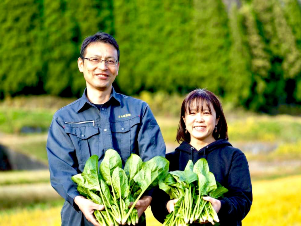 おまかせ。魂のほうれん草　14袋