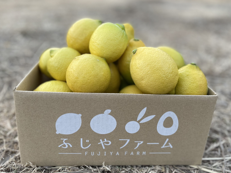 【有機JAS認証】オーガニックレモン2キロ（15個〜18個前後）極上の香りに癒されませんか？