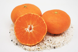 【早割キャンペーン！】甘平2kg×2箱（ご家庭用）