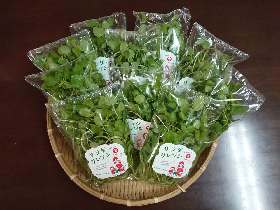  【★生で食べるサラダクレソン！！★】サラダクレソン（40ｇ×10袋）とにかくやわらかくてくせになる！
