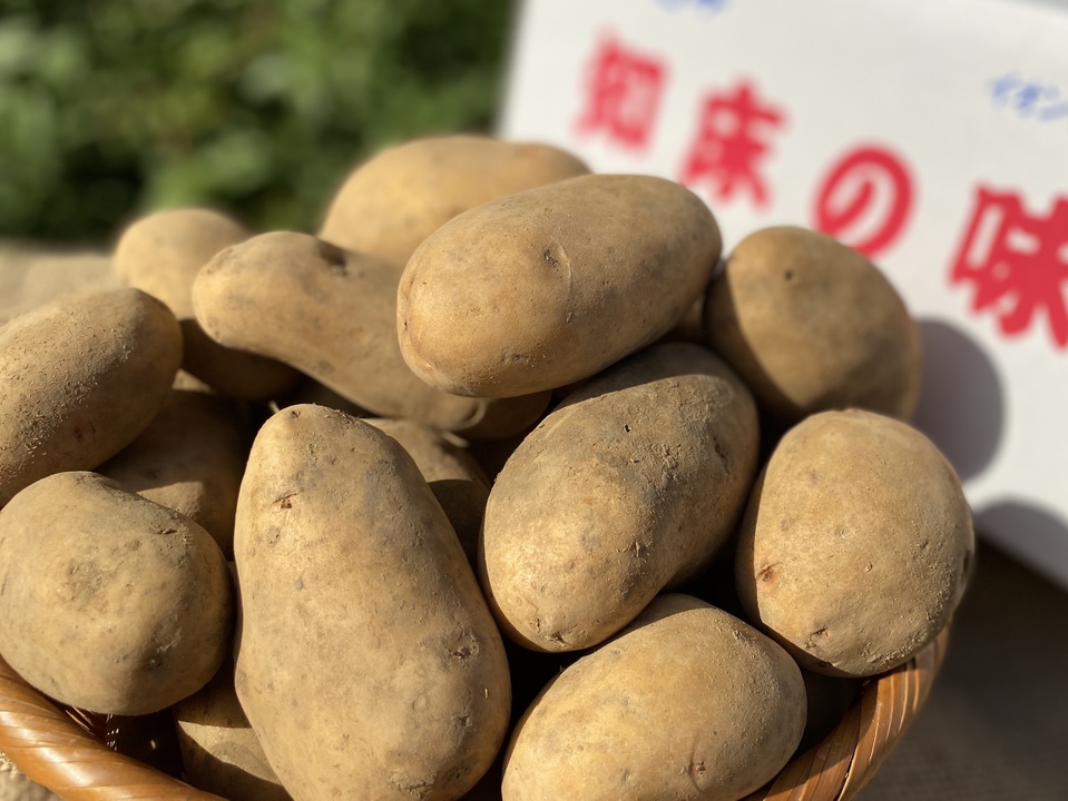 2年熟成【知床越冬完熟じゃがいも】 はるか（5kg）