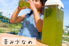 〈メール便〉水出し緑茶5g✖️30ｐ希少部位'真（ジン）'使用　渋み少なくほんのり甘い　750ｍL～1Lできます　　お茶　ティーバッグ