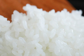 【定期便】2024年 新潟県保内産コシヒカリ1等 4.8kg