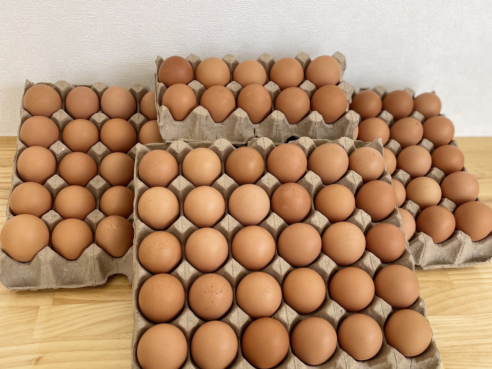 平飼いの美味しいたまご『規格外たまご100個』超お得！！【不定期】