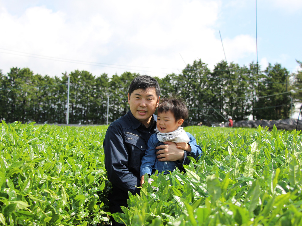 開拓から一度も農薬使ってません！有機JAS認証煎茶 上 200ｇ