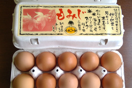 10個入れパック入り国産鶏種もみじの新鮮たまご27個(30個入り3個割れ保障、10個入れ3パック）